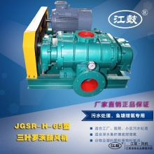 高壓羅茨風(fēng)機(jī)JGSR-H-65型